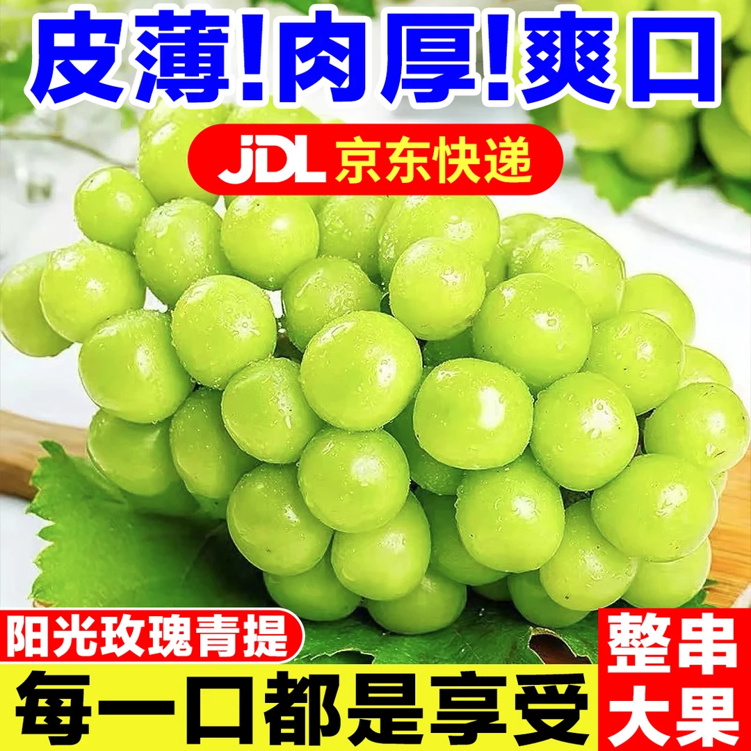 【礼盒装京东包邮】正宗阳光玫瑰葡萄新鲜水果香甜爆汁无子无核