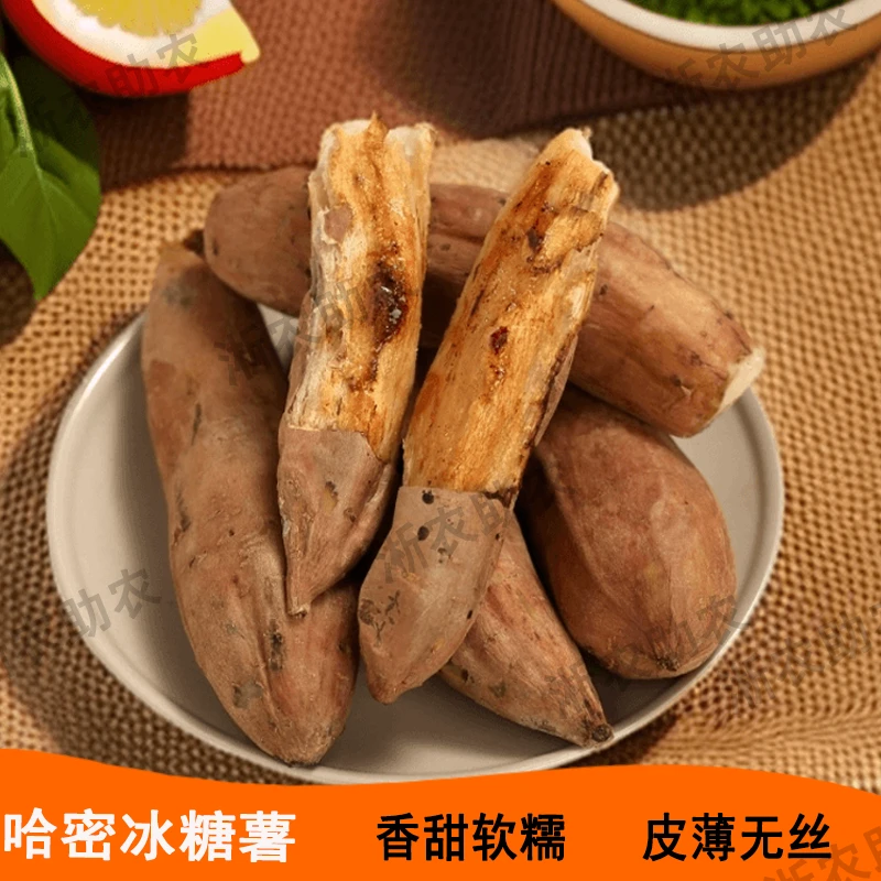 【淅川邮政助农专属】2024新鲜哈蜜冰糖薯白心蜜薯软糯香甜红薯地瓜