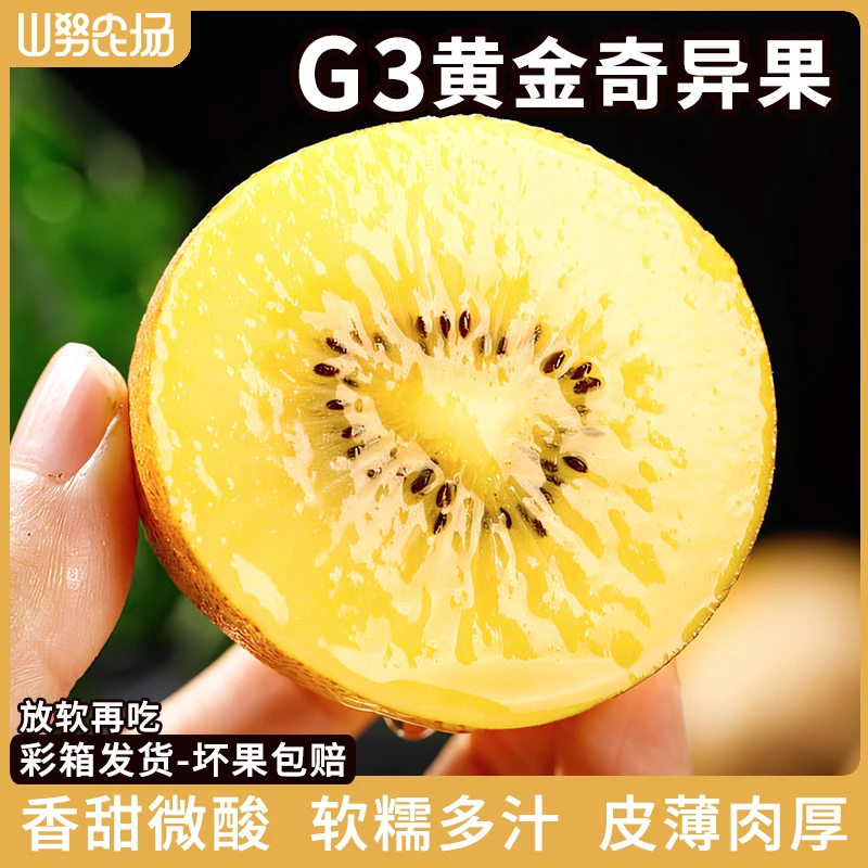 山努G3黄金奇异果香甜微酸软糯多汁皮薄肉多黄心猕猴桃新鲜VC水果