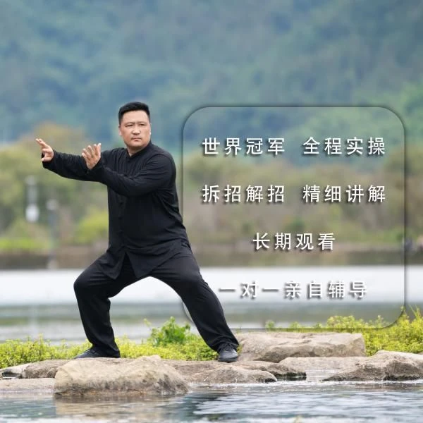 太极拳老架一路完整精品教学