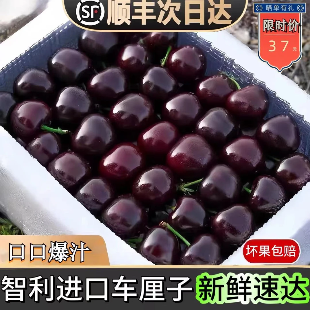 【现货】进口智利车厘子桑提娜新鲜水果礼盒装1-5斤26-34mm顺丰空