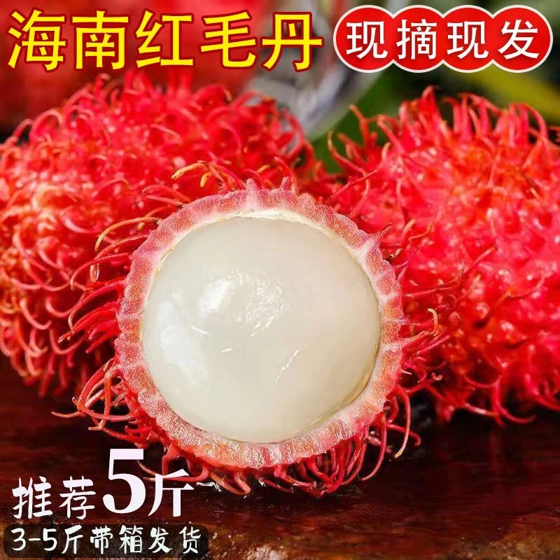 【包邮】海南保亭红毛丹新鲜水果毛丹果特产带箱树上熟现摘爆甜多汁