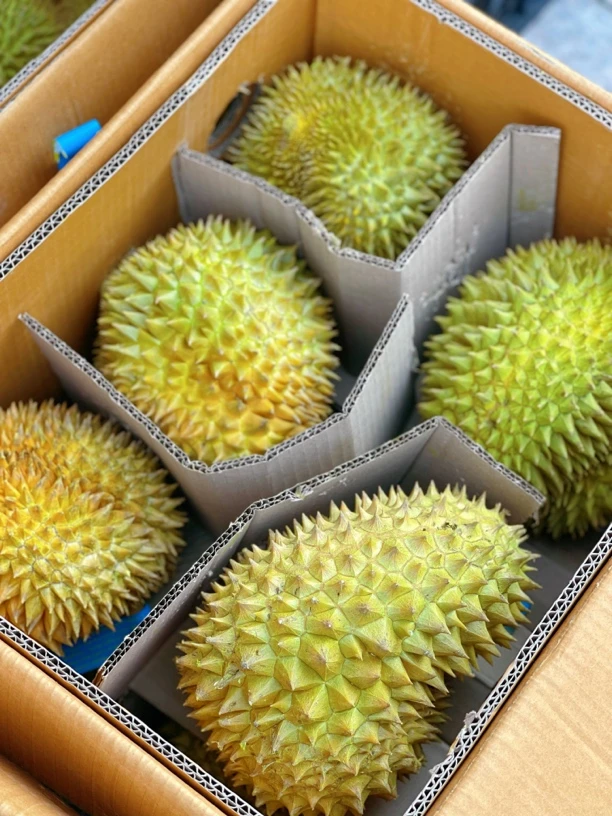 泰国金枕榴莲约3斤左右