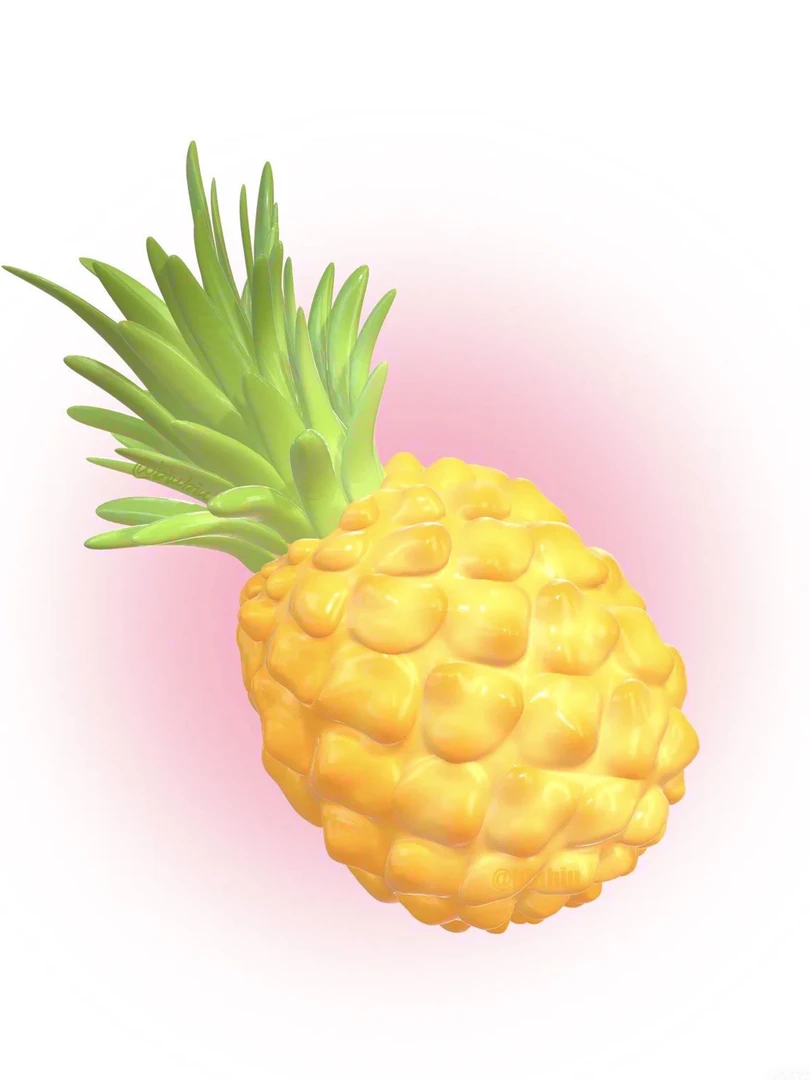 pp菠萝—孤品上衣裤子