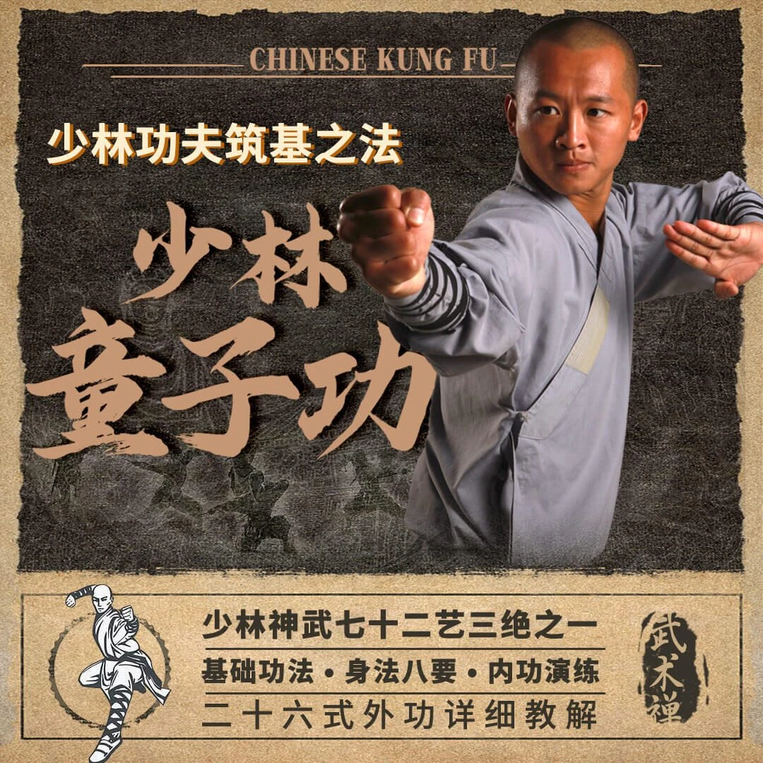 少林童子功 镇寺之宝内外功教程新手入门到高手格斗搏击武术功夫