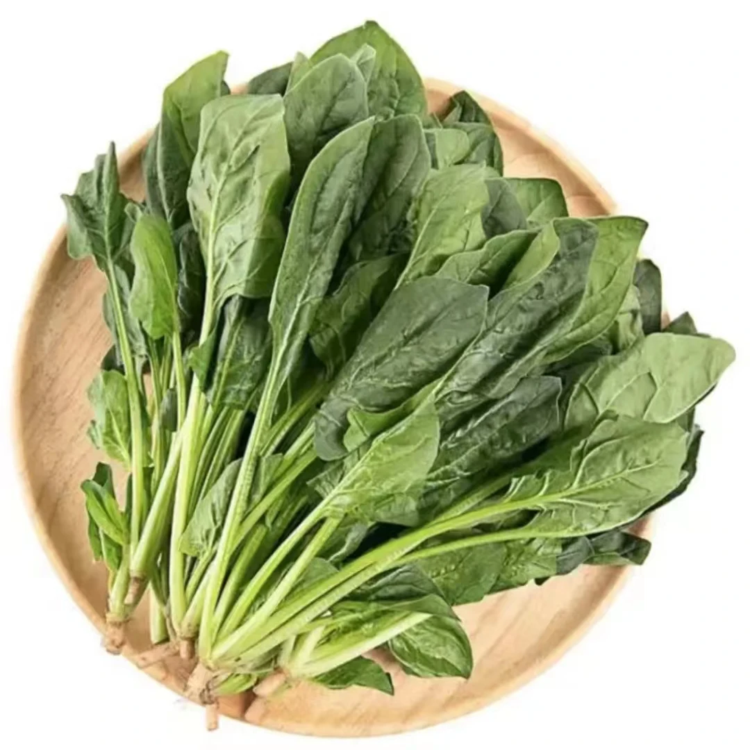 弘茂农场】管青菠菜3斤鲜嫩
