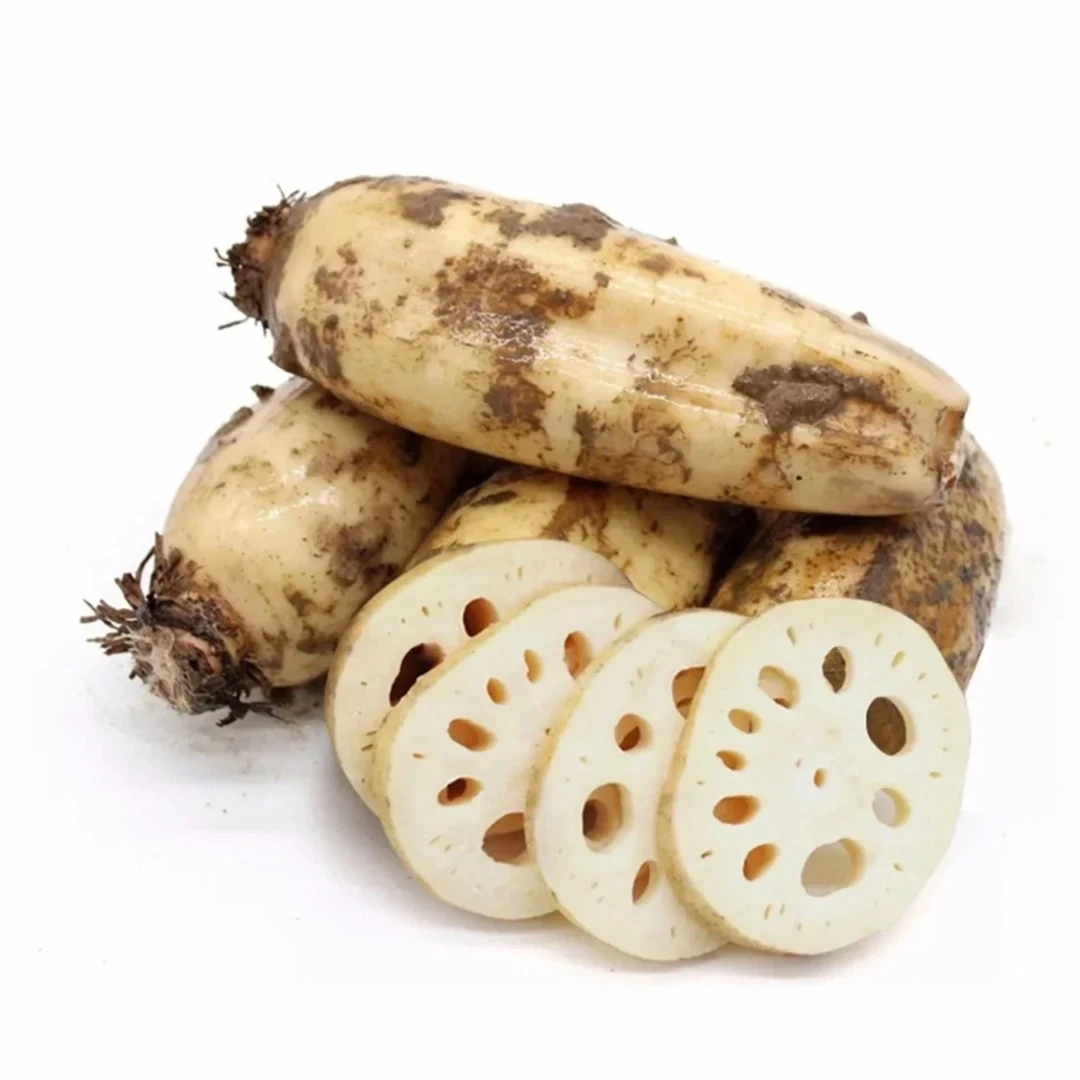 【弘茂农场】新鲜莲藕带泥发货