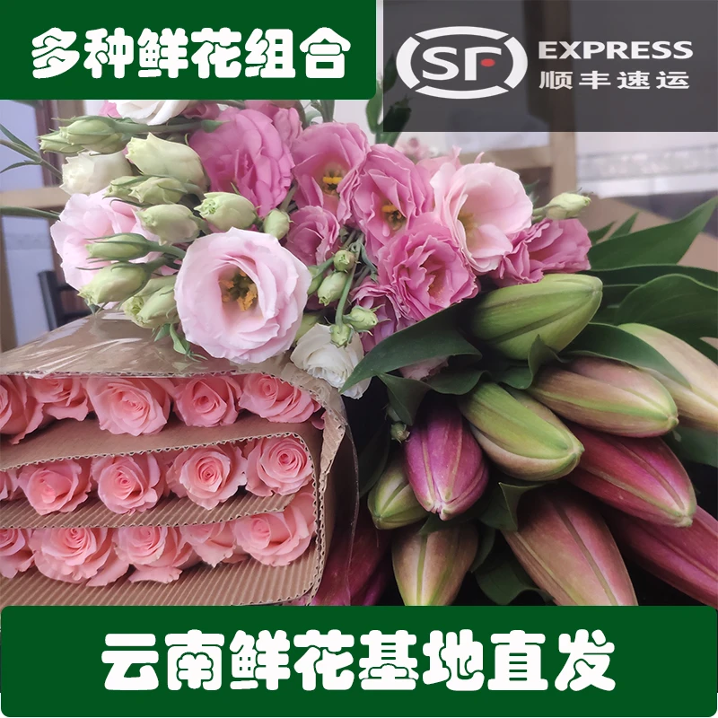 云南昆明鲜花基地直发玫瑰百合花束家庭鲜切花向日葵花材直批水养