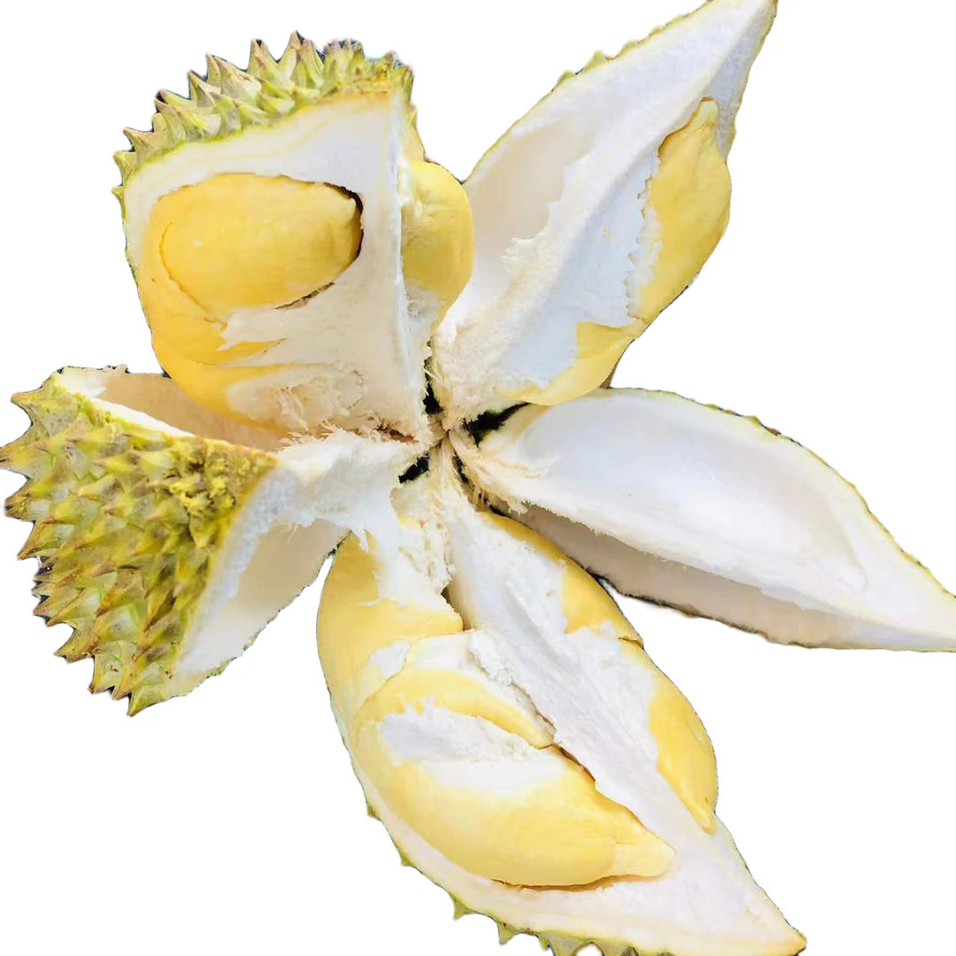 鲜榴莲/越南小猫山王/（约5——5.5）/一果一重/核小干尧越南