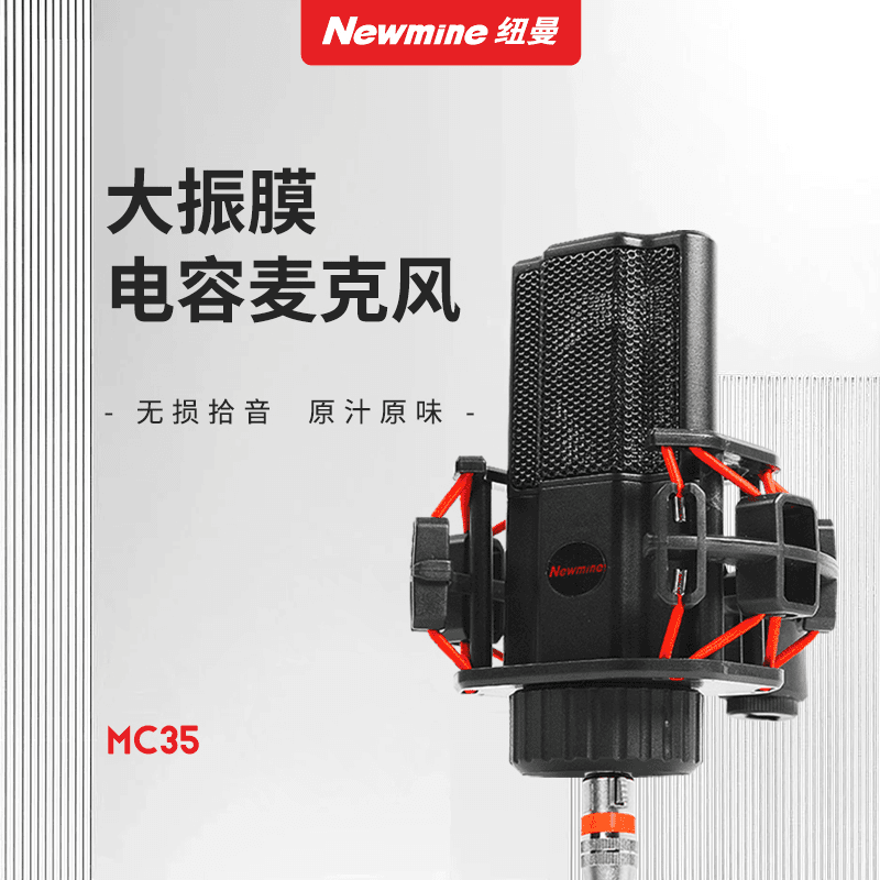 准新品  【金】Newmine 纽曼 大振膜电容麦克风 MC35