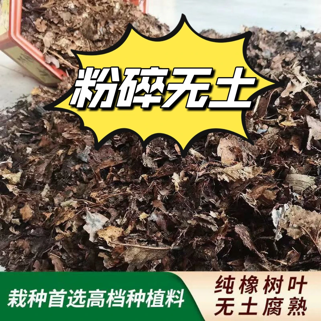 腐熟橡树叶东北酸性不含土多种栽种原盆使用松软