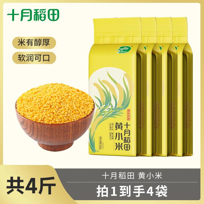 十月稻田黄小米五谷杂粮食用米油粘稠小米粗粮真空包装饱满500g*4