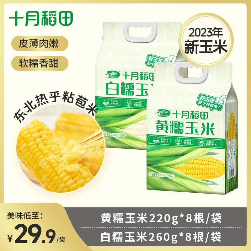 【23年头茬新玉米】十月稻田黄糯玉米棒甜糯黏苞米早餐真空包装