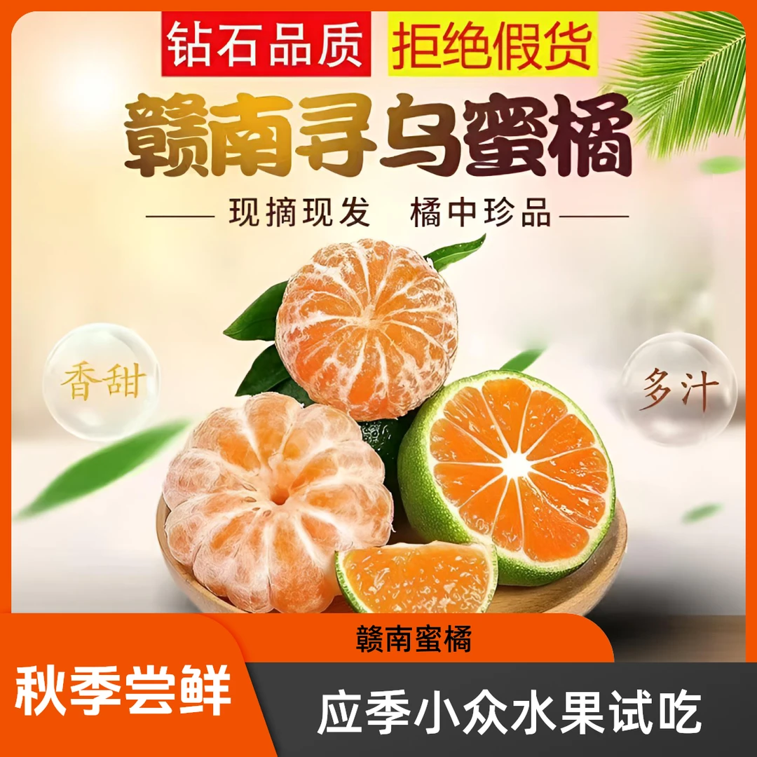 【秋冬尝鲜】正宗寻乌蜜桔现摘无籽青皮蜜桔新鲜采摘产地直发