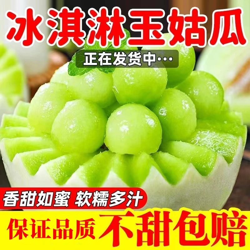 【现摘现发】甜蜜玉菇甜瓜软糯香甜4.5-8斤一藤一瓜应季水果新鲜