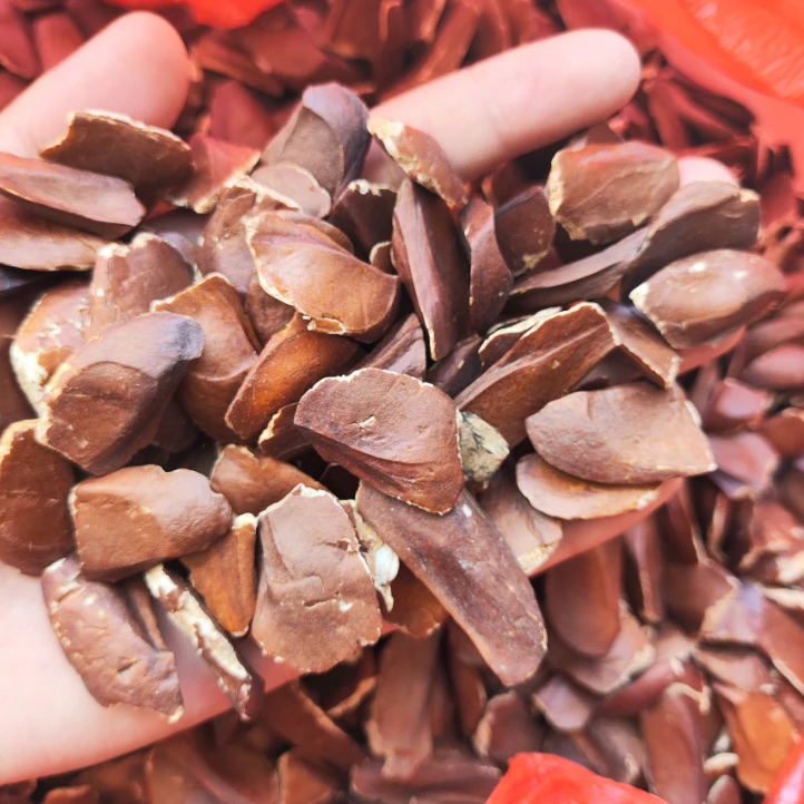 【向天果】高山好物 大山中的宝贝