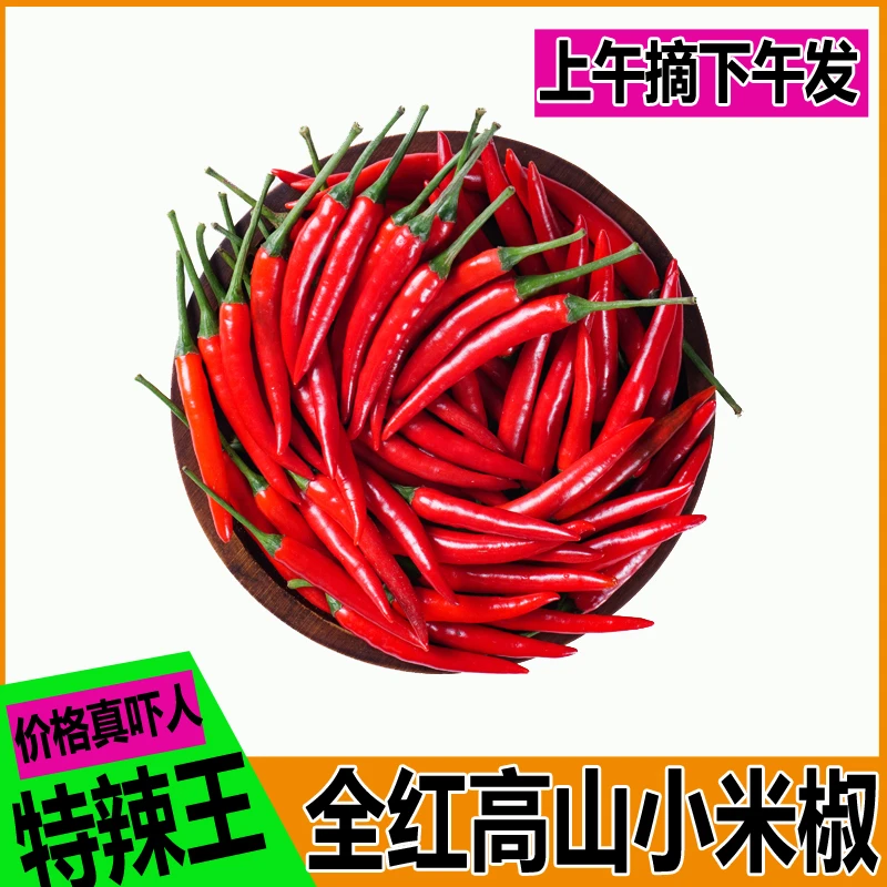 高山种植新鲜现摘特辣小米椒餐饮批发商超市场蔬菜辣椒泡椒剁辣椒