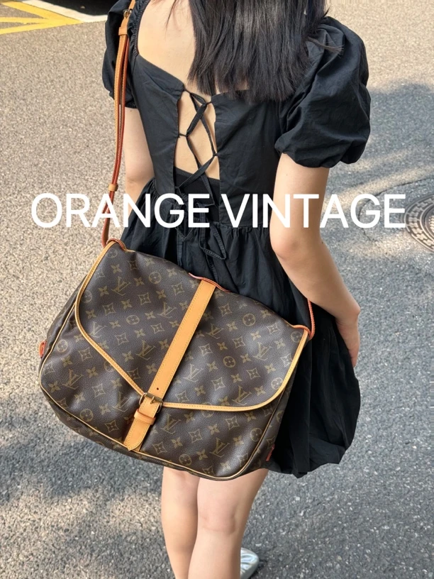 95新 LV lv 双子星中号单肩挎包邮差包（换皮）