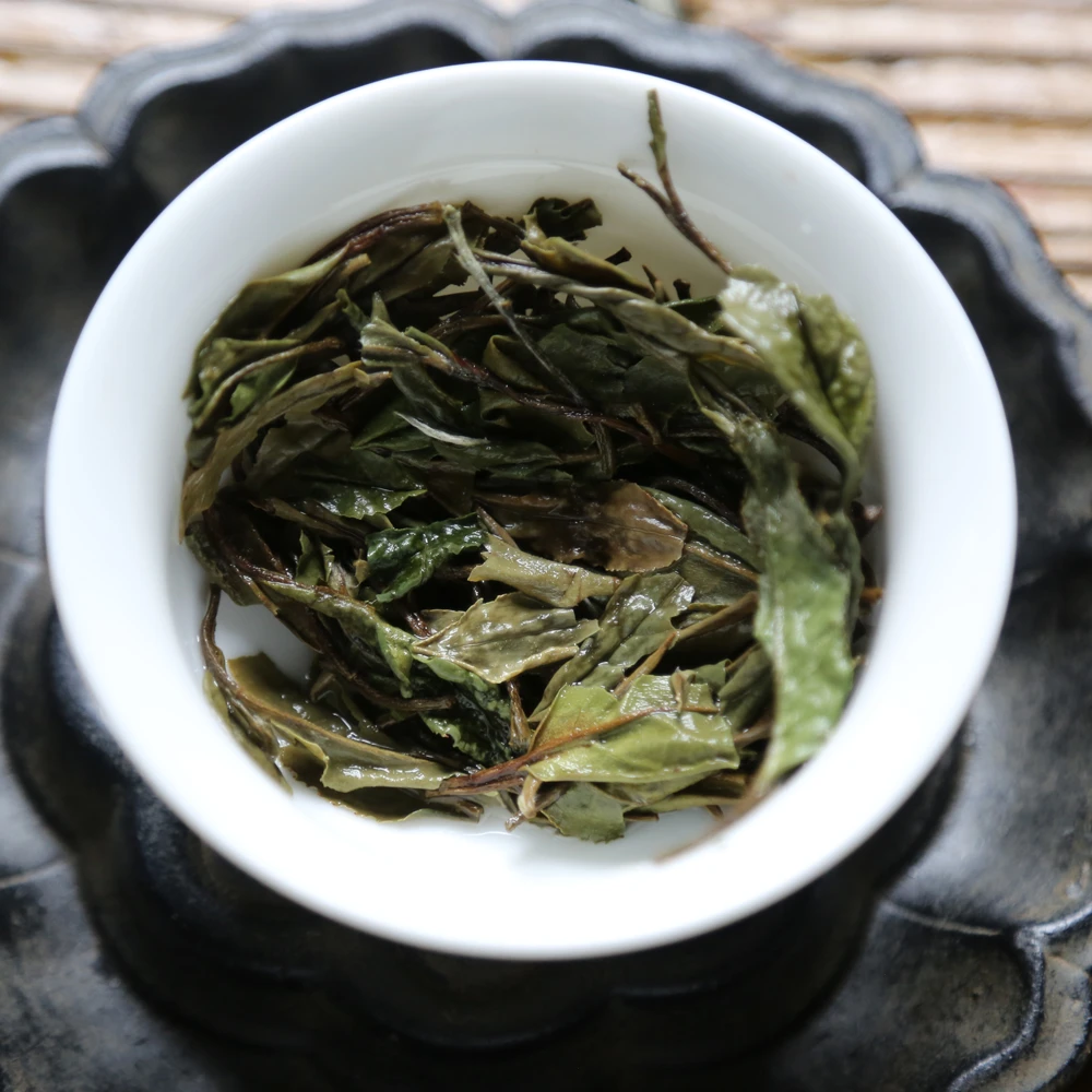 温师兄的茶2021白牡丹白茶华茶一号  福鼎白茶 磻溪