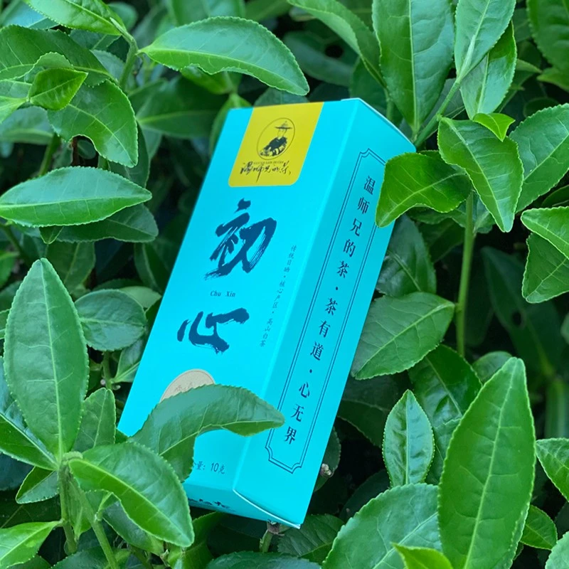 陆小芊专属 2022年白毫银针福鼎白茶 磻溪上章料散茶 10克