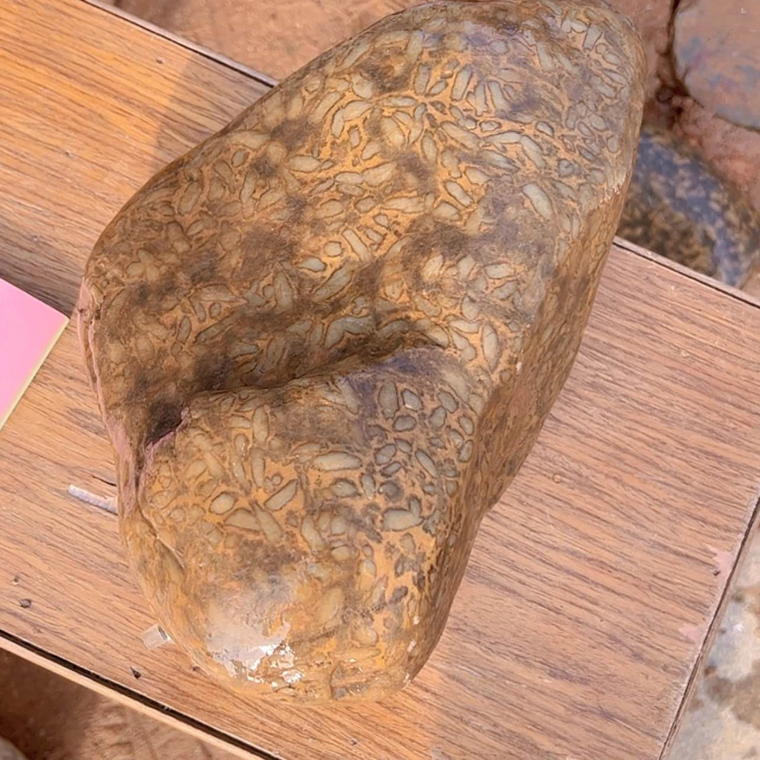 【闪购商品】密胺米粒石天*