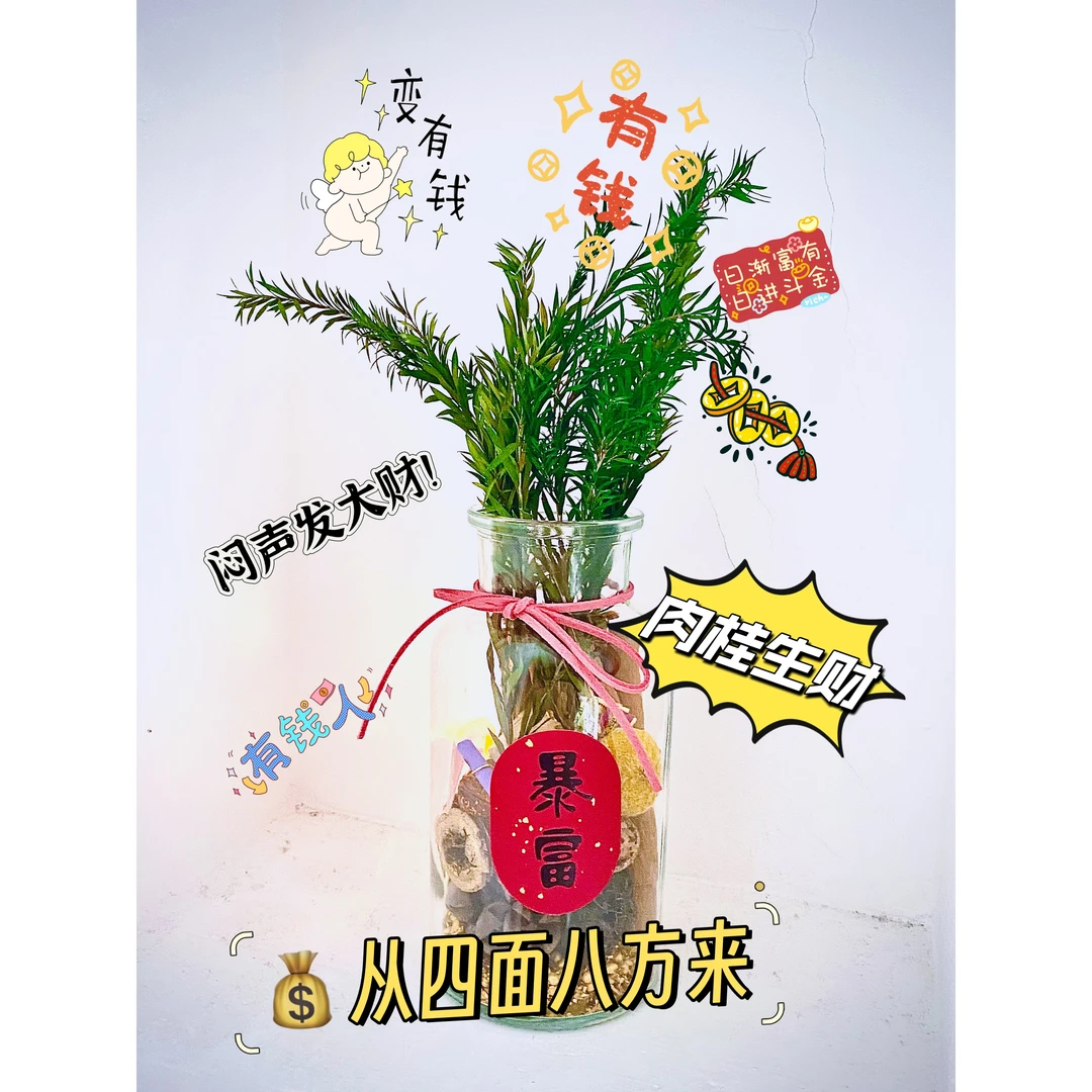 豪华版肉桂生财瓶diy装饰摆件招财摆件