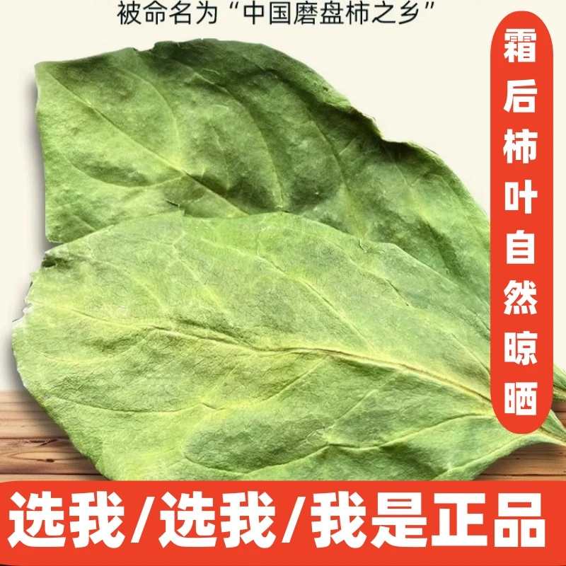 中药材霜后柿子叶 新货正品柿叶茶柿子叶子霜柿叶柿树叶包邮荷叶