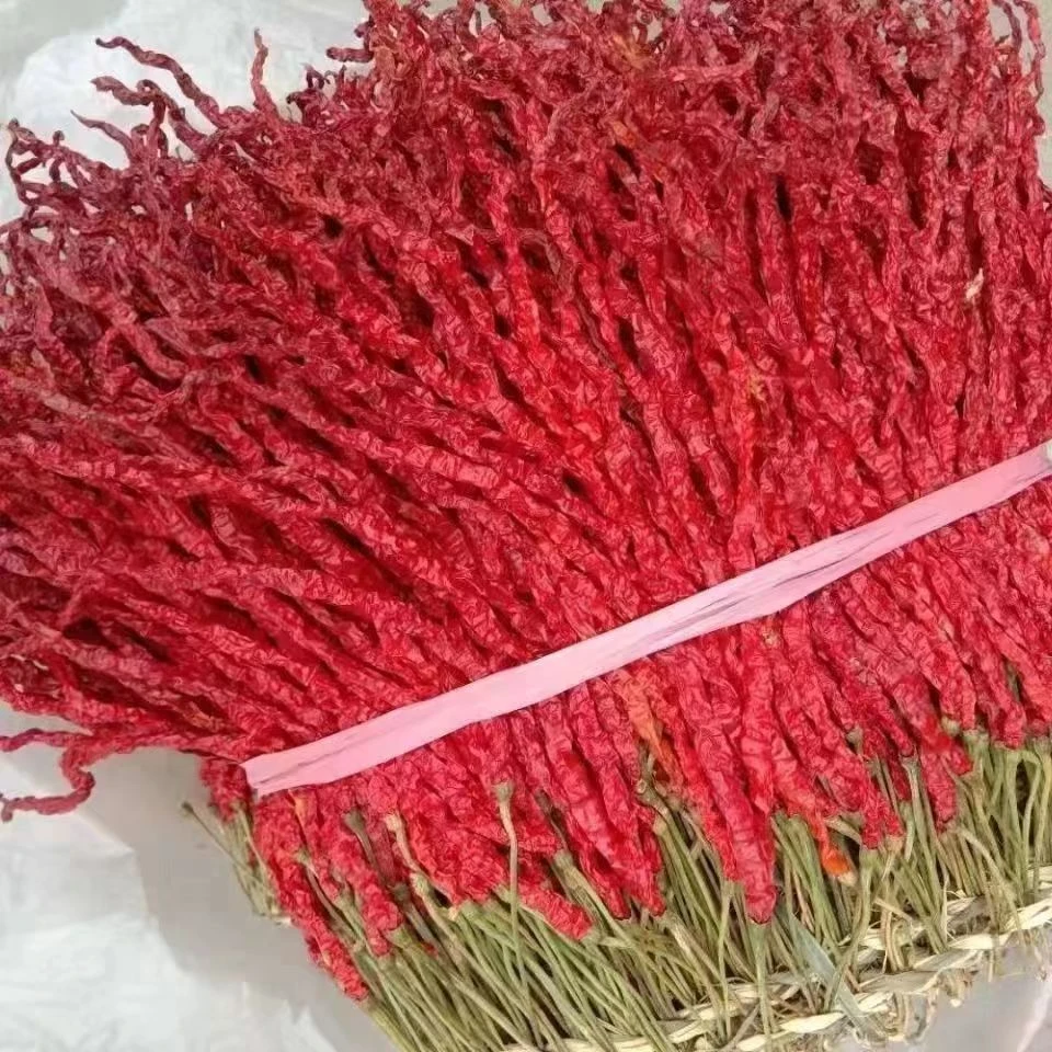 贵州本地特色干辣椒