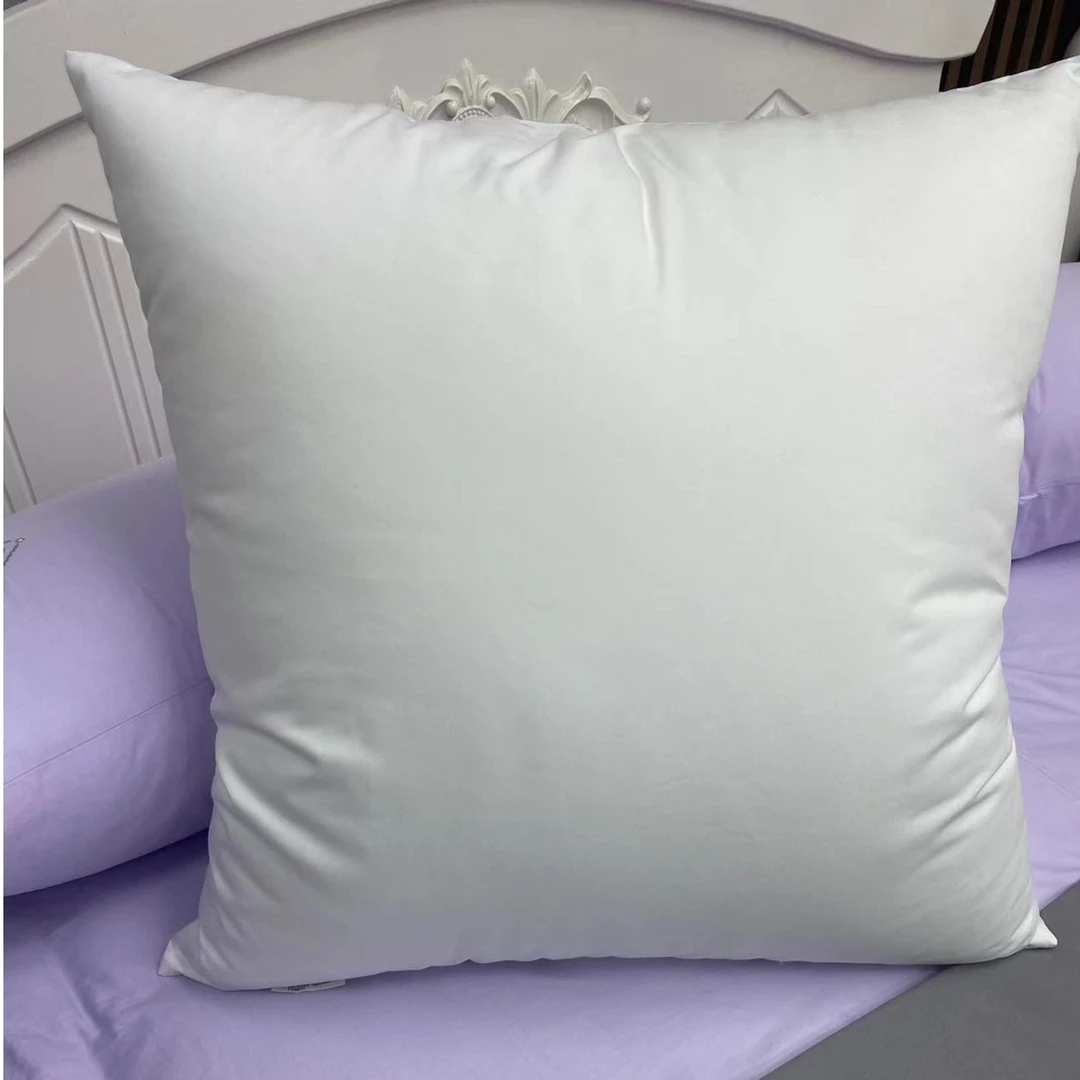 方垫芯家用正方形靠垫抱枕纯色简约轻奢抱枕靠垫枕枕芯  一只装