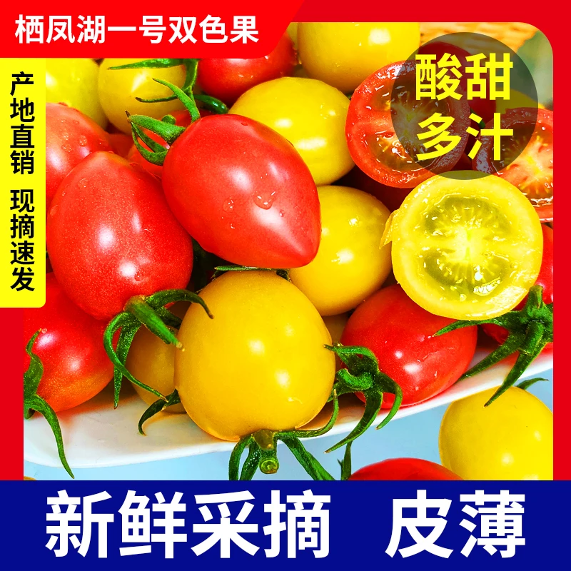 栖凤湖一号双色西红柿 产地直销 现摘速发 新鲜采摘 颗颗新鲜