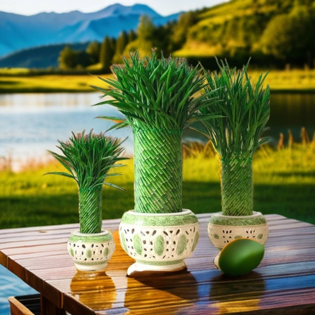 编织招财竹水培玄关盆栽乔迁转运发财适合富贵竹室内绿植竹报平安