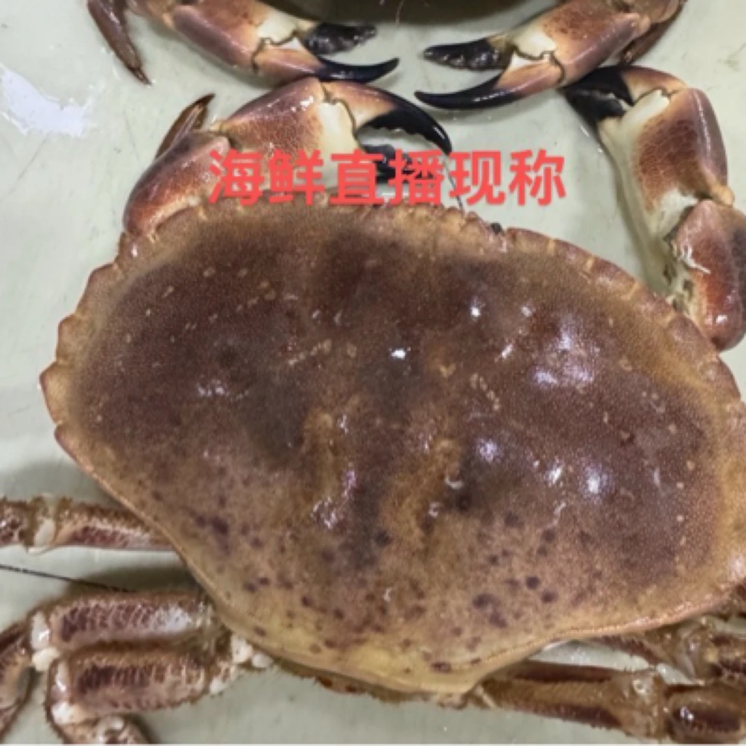 【直播现称】面包蟹顺丰包鲜到家 以直播实物为主