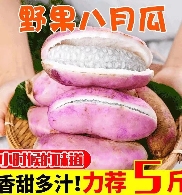野生水果八月瓜八月炸新鲜水果稀有九月瓜甜瓜农家自种当季八月瓜