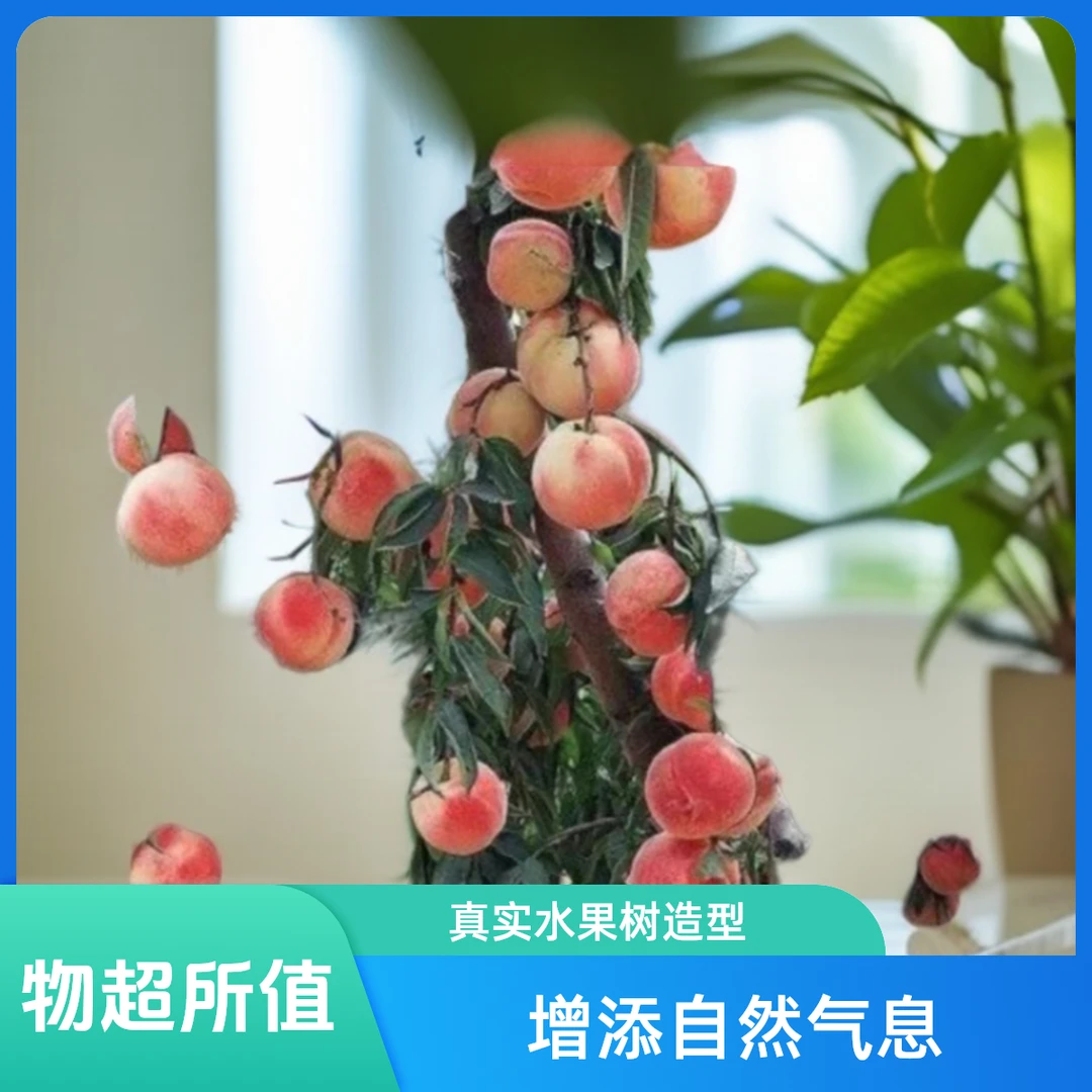 桃树树苗盆栽地栽