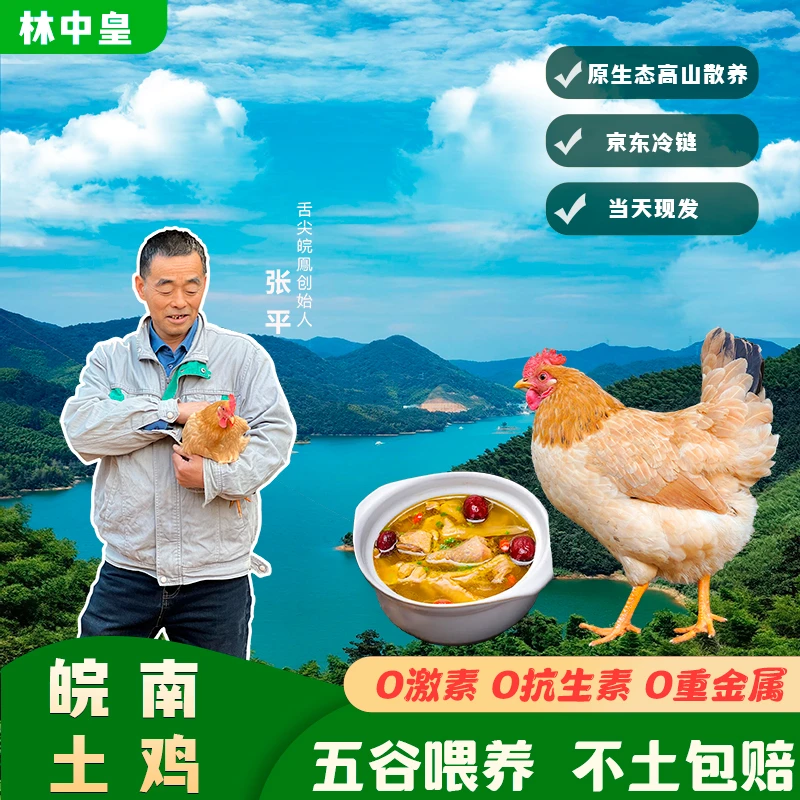 【黄脚老母鸡】皖南农家散养黄油土鸡生态溜达鸡