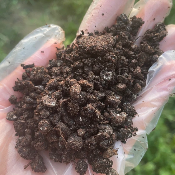 水溶肥牡丹芍药专用肥