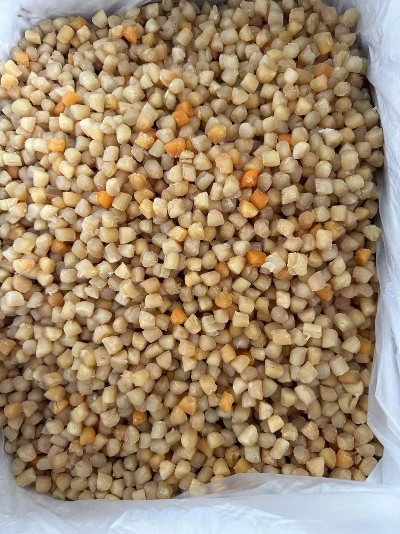 浯屿岛干贝瑶柱淡口新鲜美味煲汤煲粥佳品