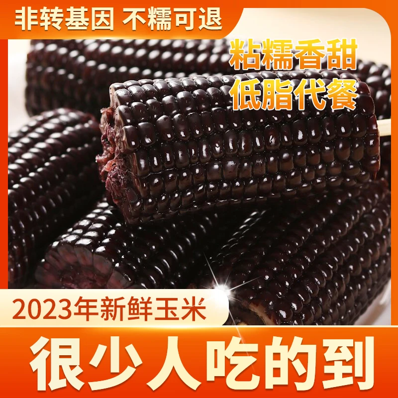 10根秦岭高山黑糯玉米真空装（有任何问题可退款）东北大碴子