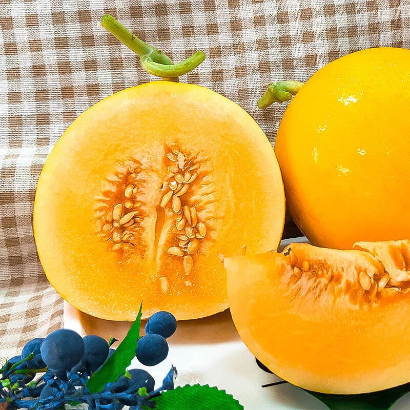 【坏瓜包赔】甘肃民勤蜜瓜带箱9-10斤 软糯爽口 黄肉白肉随机（尚）