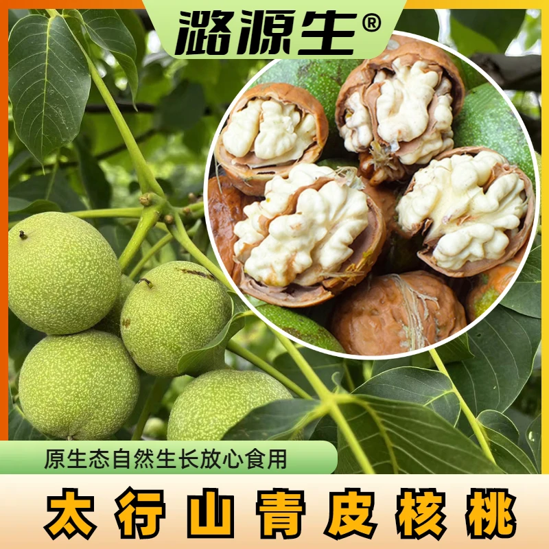 潞源生新鲜湿核桃去青皮散装称重现摘现发原生态农产品大凉山核桃