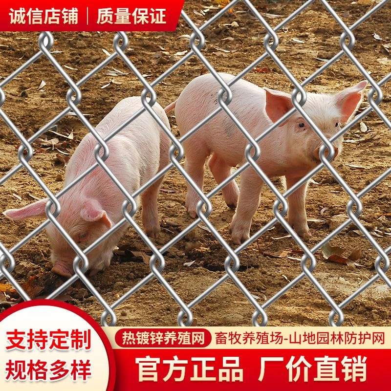 热镀锌钢丝网加粗勾花网养殖围栏网护栏网围鸡牛羊殖网网格铁网格