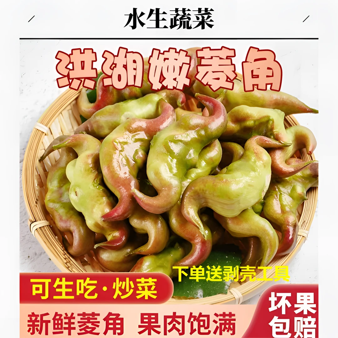 顺丰包邮湖北特色水生蔬菜绿色洪湖新鲜嫩菱角现摘现发带壳3斤