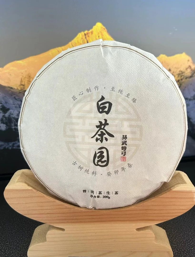 四月 2023年弯弓白茶园古树头春生茶