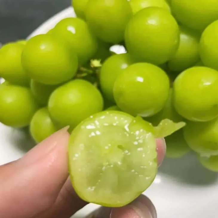 浙江自家种顺丰鲜法 晴王5斤装