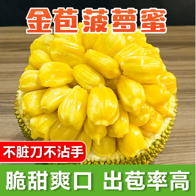 【尝鲜装】金苞菠萝蜜树熟菠萝4-6斤新鲜应季水果产地直发非榴莲蜜
