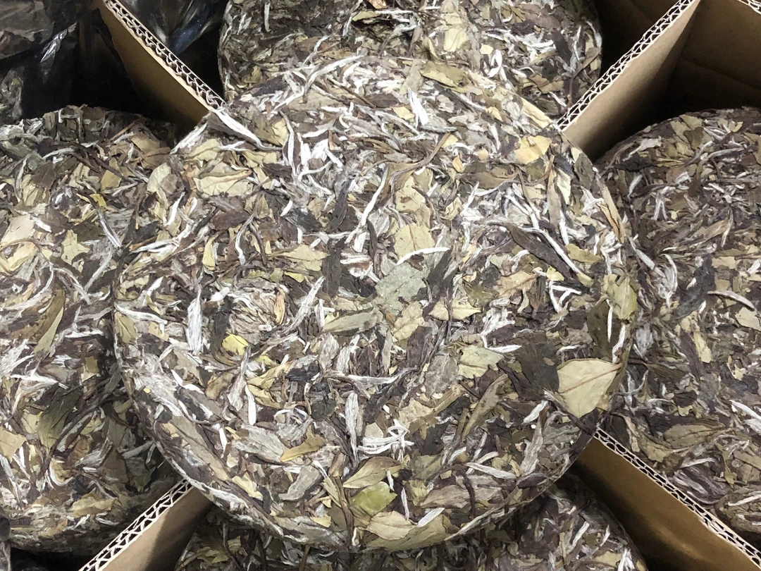 福鼎白茶2018年白牡丹茶饼花蜜香