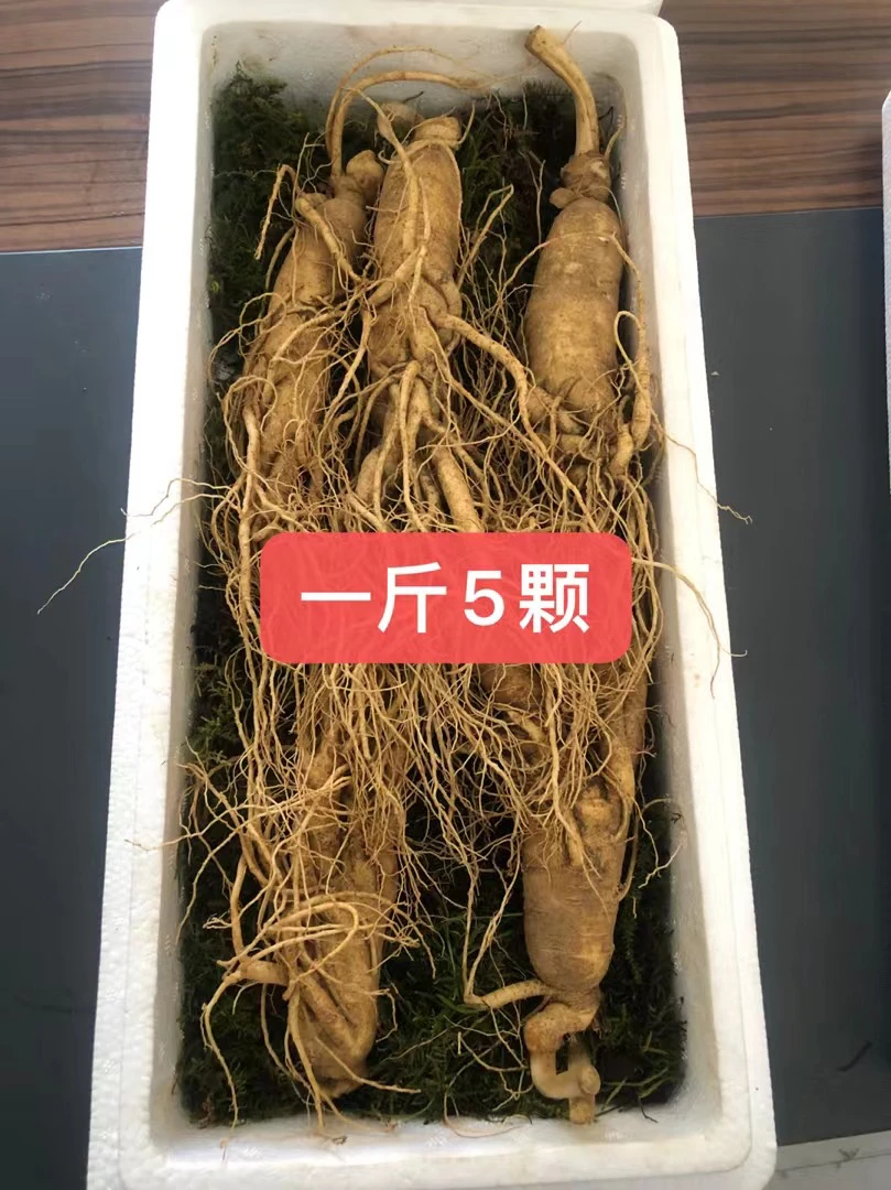 长白山鲜参 一斤5颗规格