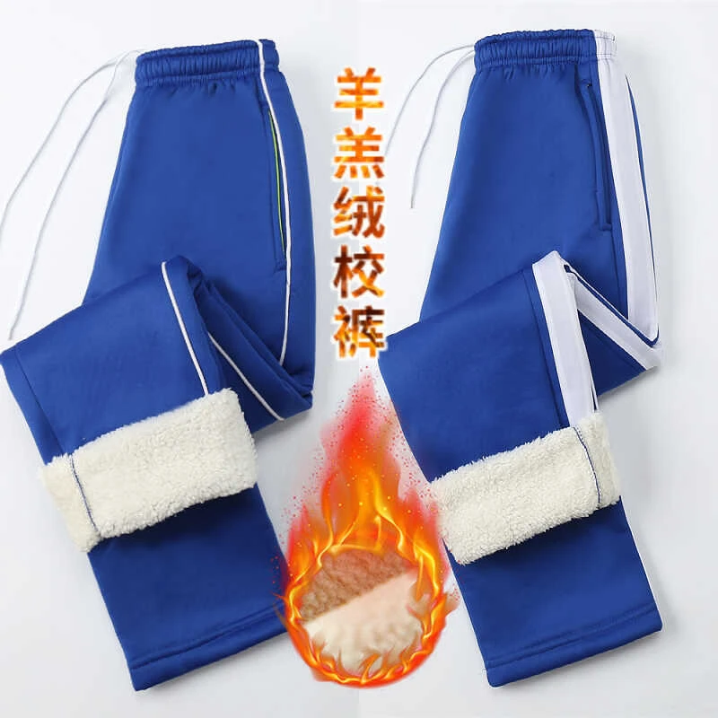 宝蓝色羊羔绒校服裤子男女通用校裤冬季加厚款中小学生高中生校裤
