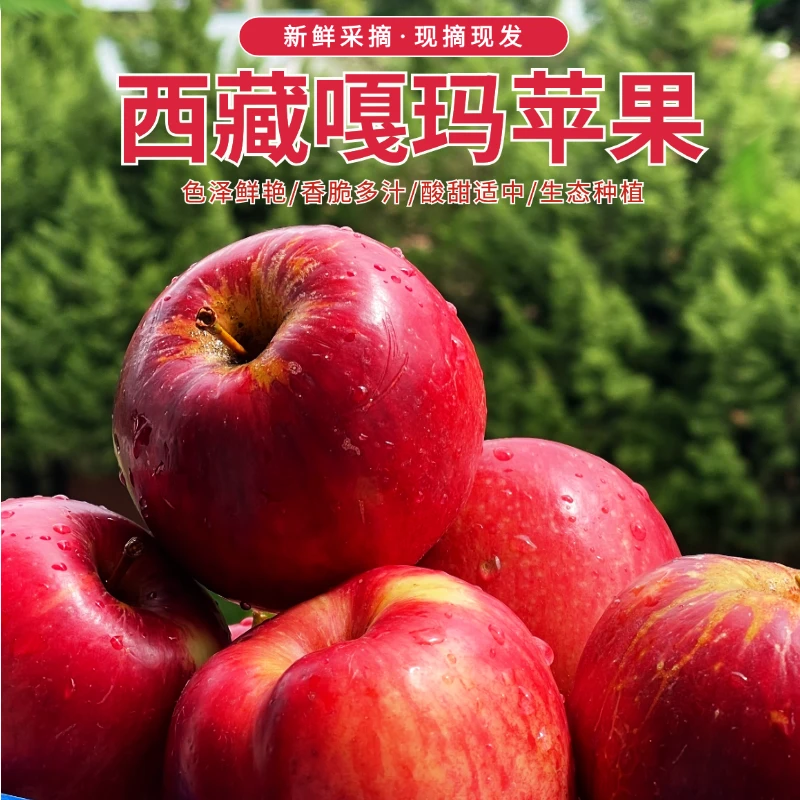 西藏新鲜苹果10斤脆苹果