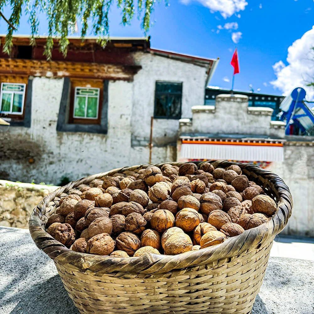 西藏朗县野生古树核桃3斤5斤统货青藏高原老树核桃